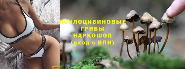 винт Новодвинск