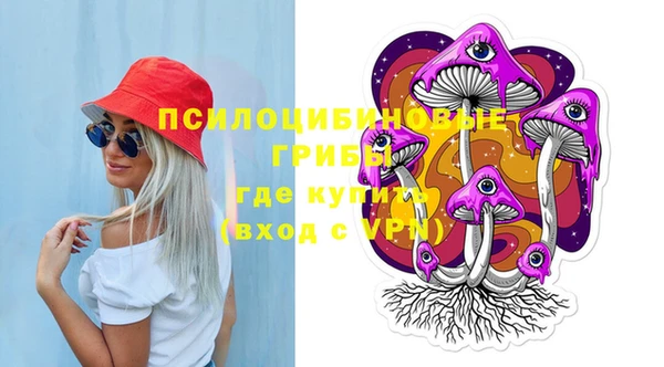 гидра Галич
