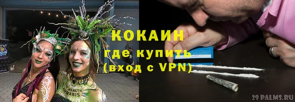 соль ск Новокубанск