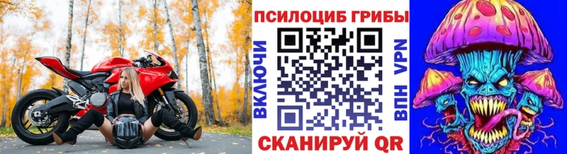 Псилоцибиновые грибы GOLDEN TEACHER  МЕГА tor  Никольское  наркота 